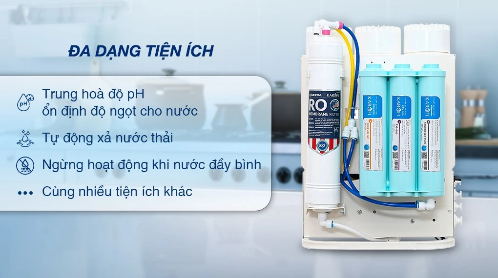 Ảnh 2
