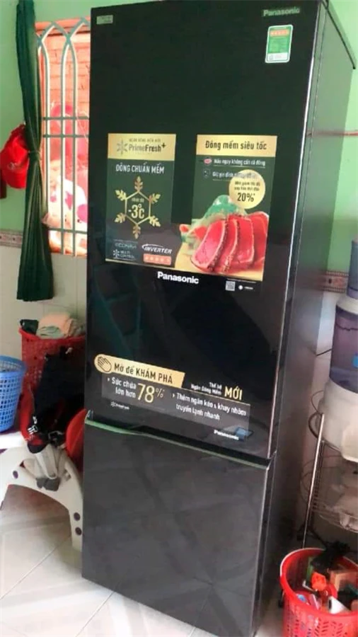 Ảnh 5